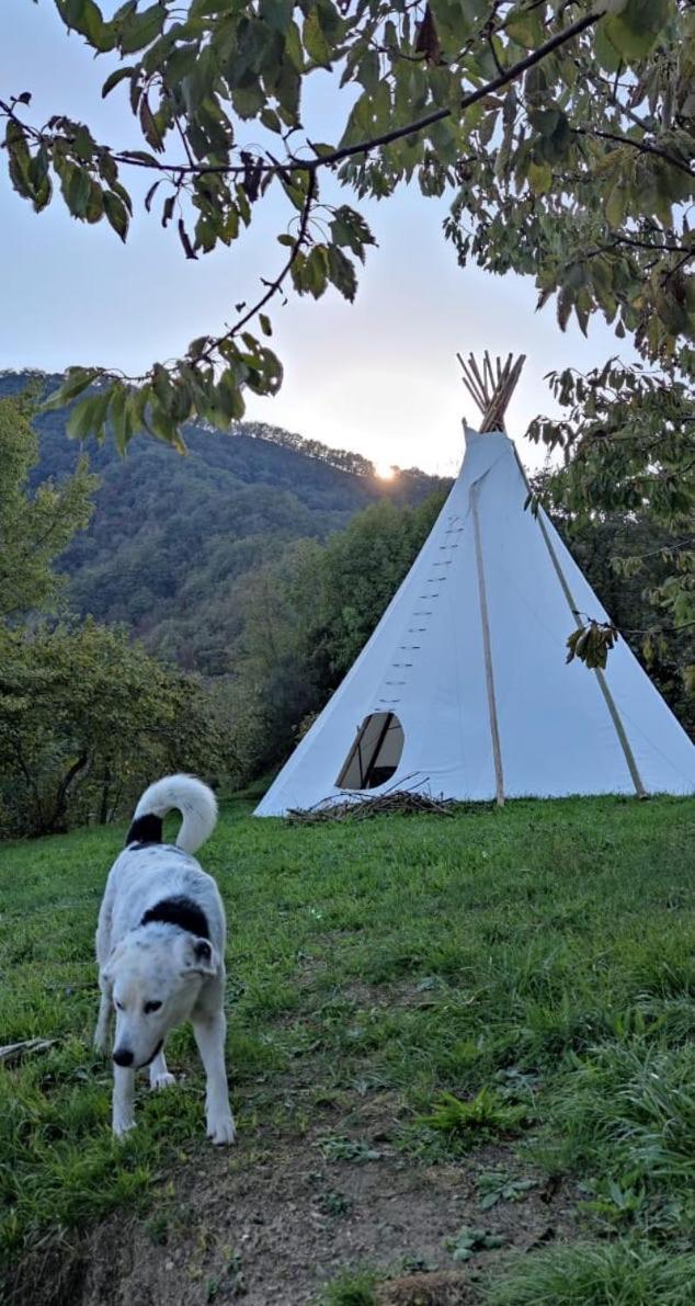 @Gatetothewild Bed & Breakfast Coreglia Ligure Екстериор снимка